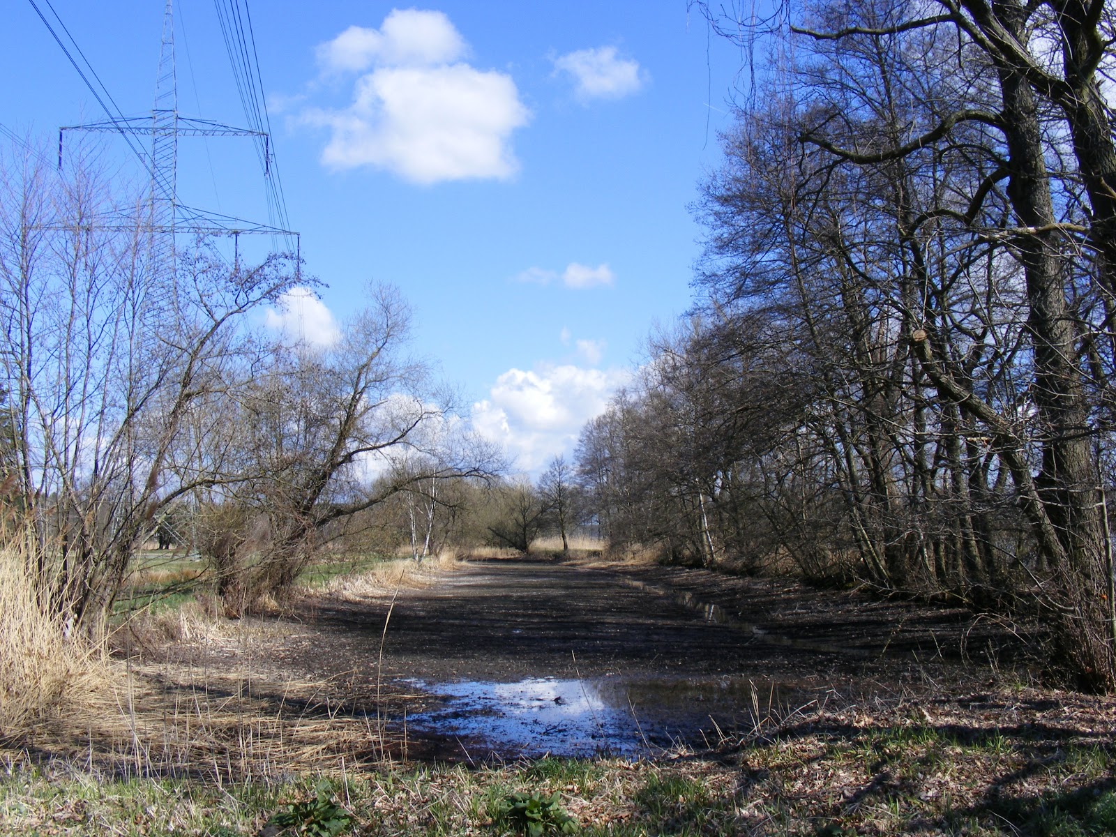 Mit 8 Megapixeln durch die Niederlausitz