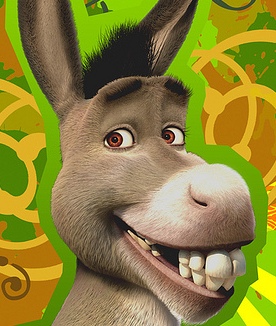 GATO SHEREK gato sherek: