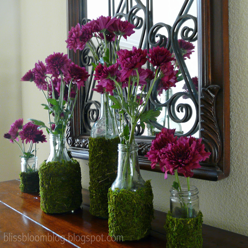 bliss bloom {blog} a craft and lifestyle journal [Upcycle] Moss Vases