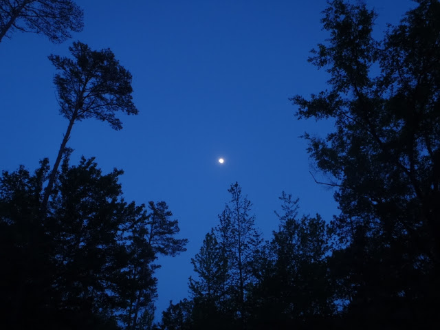 pink full moon on lake hartwell by dearmissmermaid.com