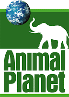 Animal Planet Live Online