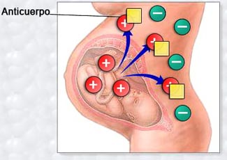 Porno un pequeño pecho femenino del chupete