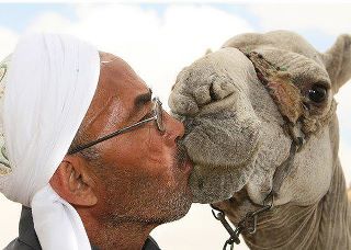 Pet+love+10-14-11.jpg