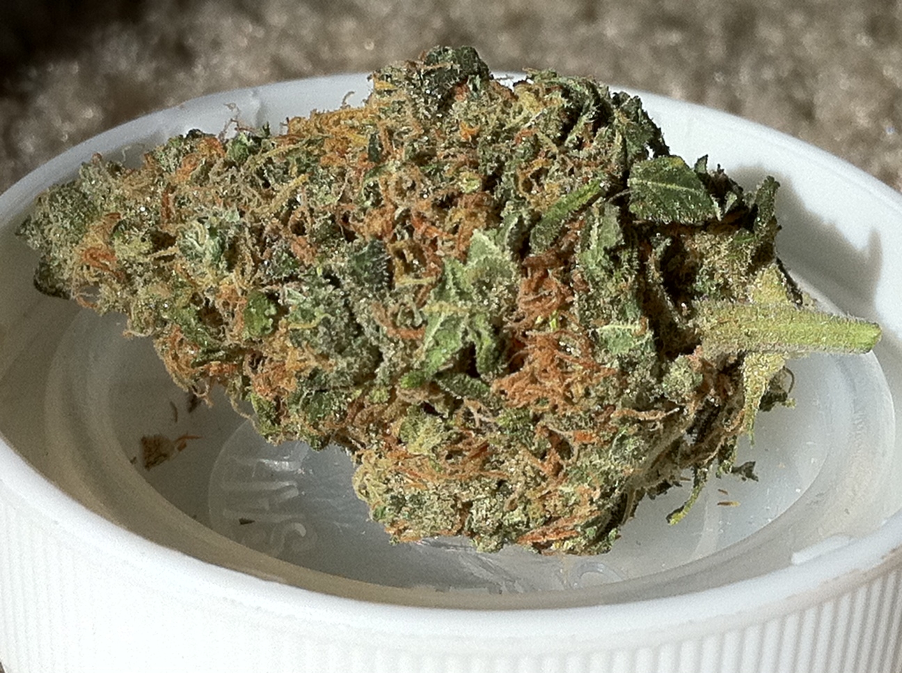 kat piss weed