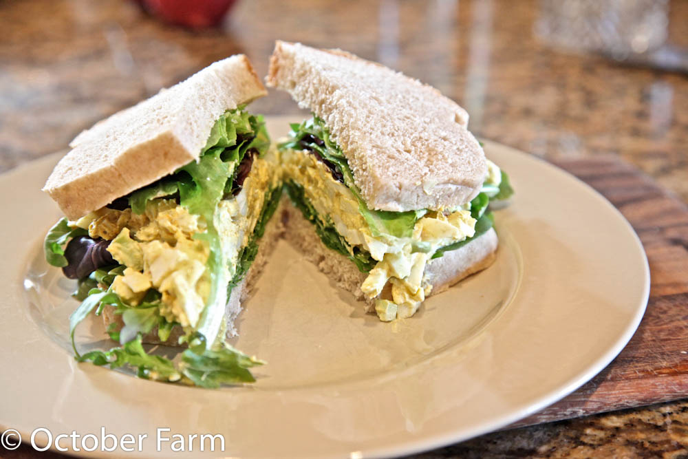 Curried Egg Salad Sandwich