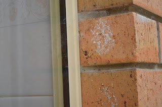 Outside view of kitchen window where the window joins the wall. A redback spider hangs in front of the centre row of bricks.
