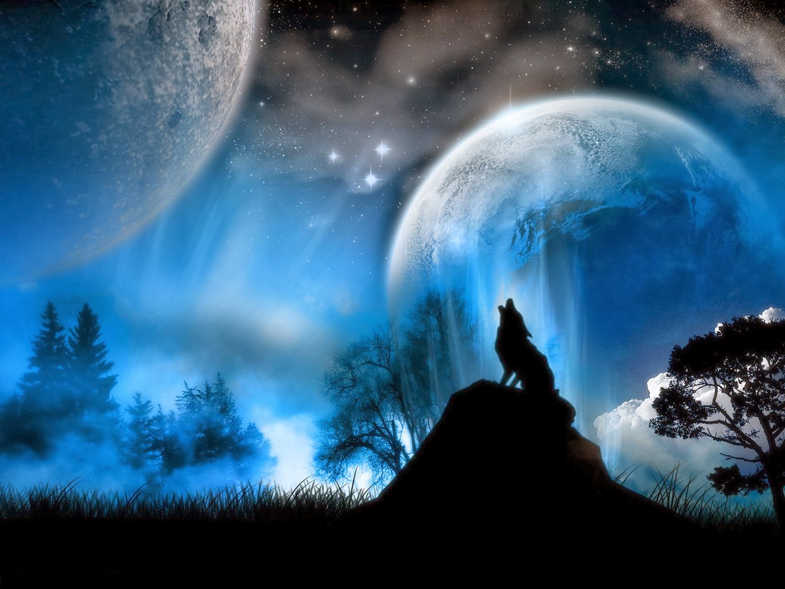 Black Wolf HD images, wolf nigth,