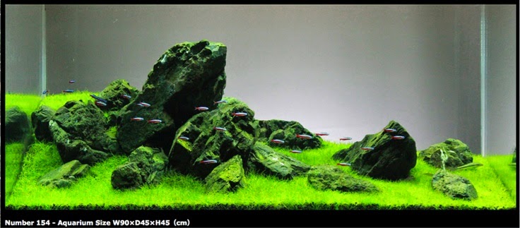 aquascape minimalis batu macam tema aquascape aquascape batang aquascape minimalis batu macam tema aquascape aquascape batang