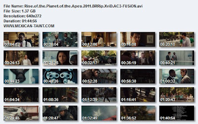 Rise.of.the.Planet.of.The.Apes.2011.BRRip.XviD.AC3-FUSiON Rise.of.the.Planet.of.The.Apes.2011.BRRip.XviD.AC3-FUSiON