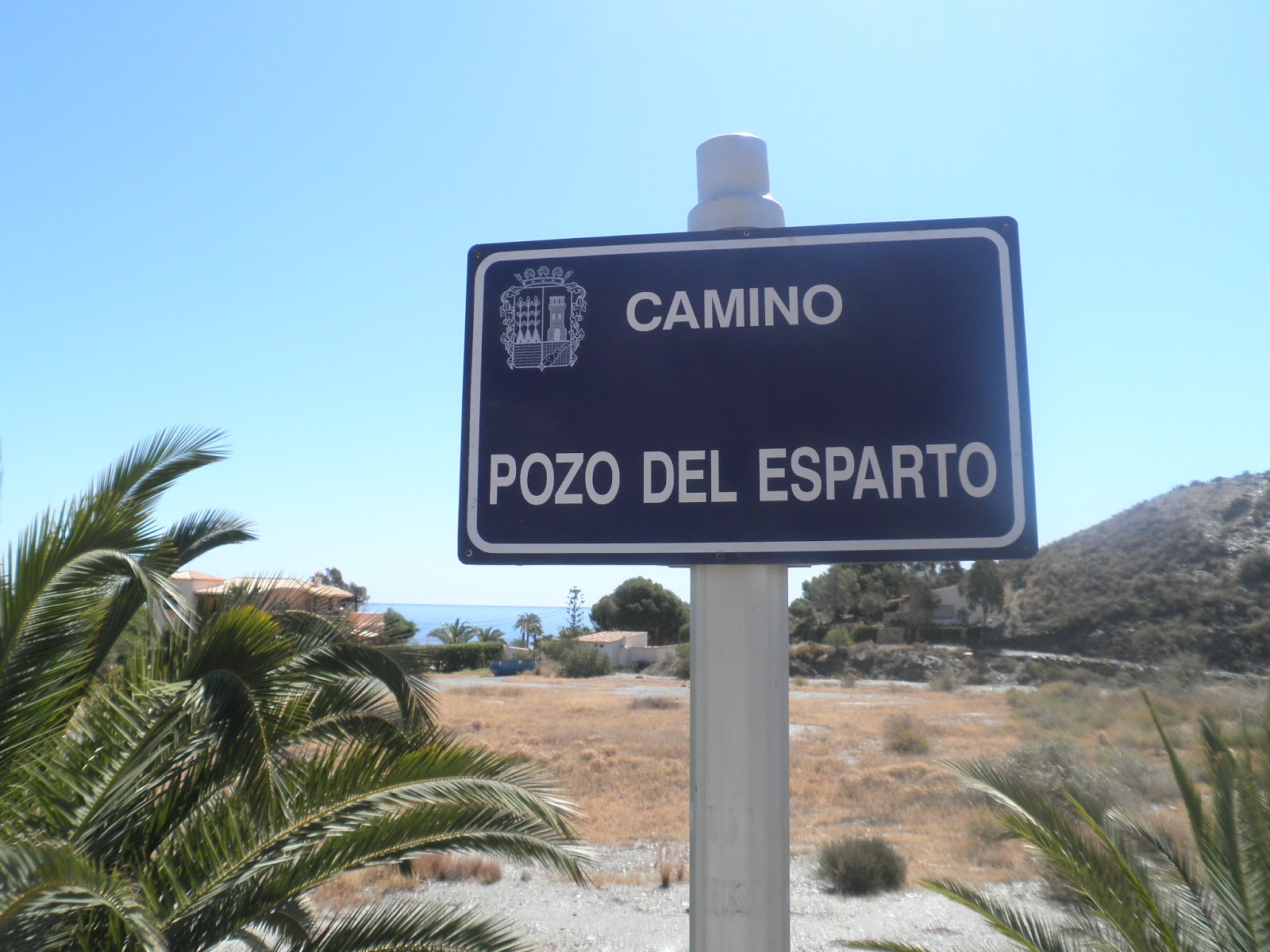 writerinaguilas: El esparto - The grass