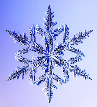 Jutsu especial para Koori: Kyokufu (Vento polar) Cristal+neve