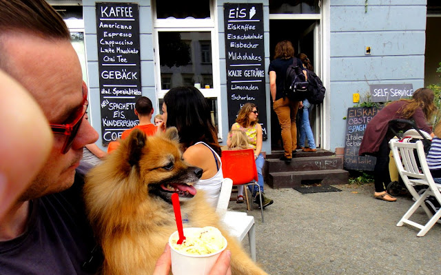 Barney turns eleven in Berlin