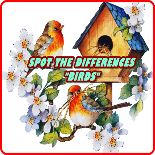 Spot Differences Birds