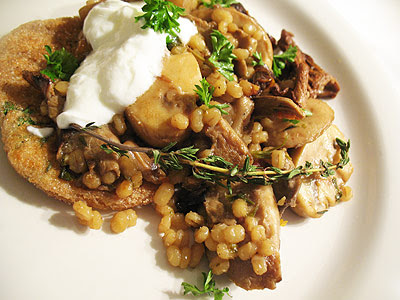 Yogurt Patties with a Barley, Mushrooms and Sun-Dried Tomato Sauce