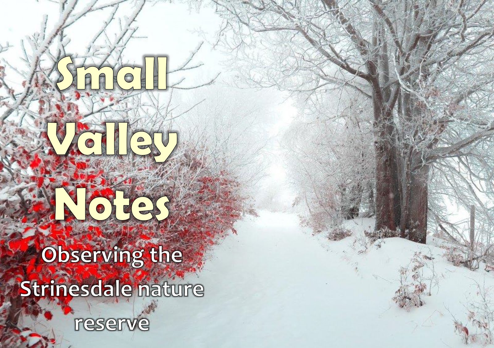 Small Valley Notes