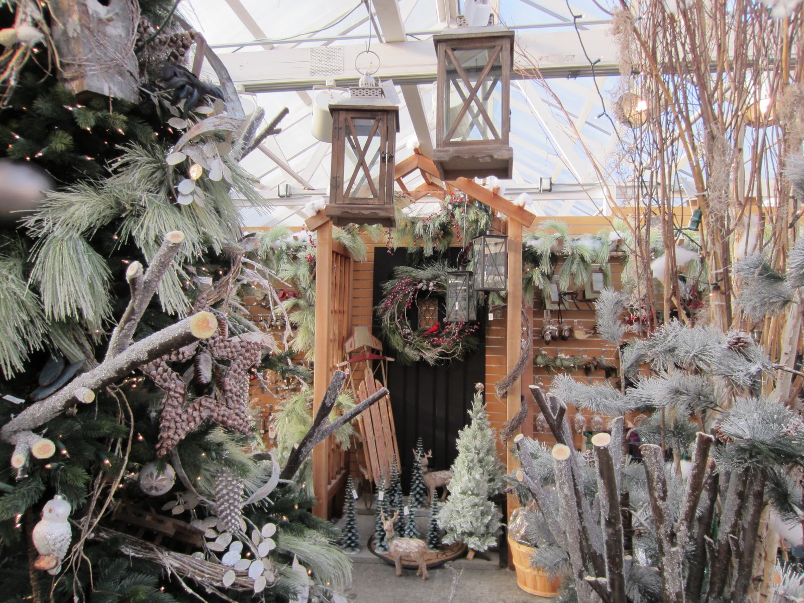 Around Puget Sound and Beyond Holiday Time Molbak's Nursery at