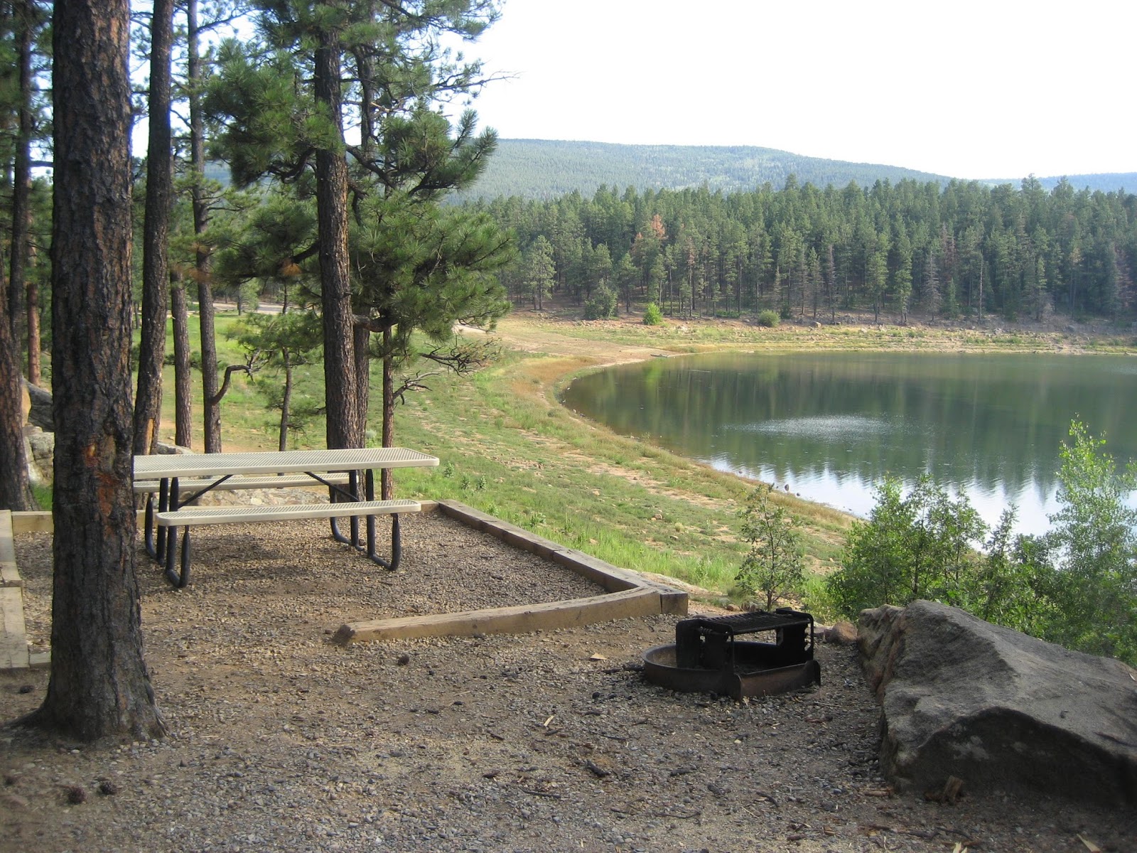 Living Rootless Morphy Lake State Park, New Mexico A Little Gem