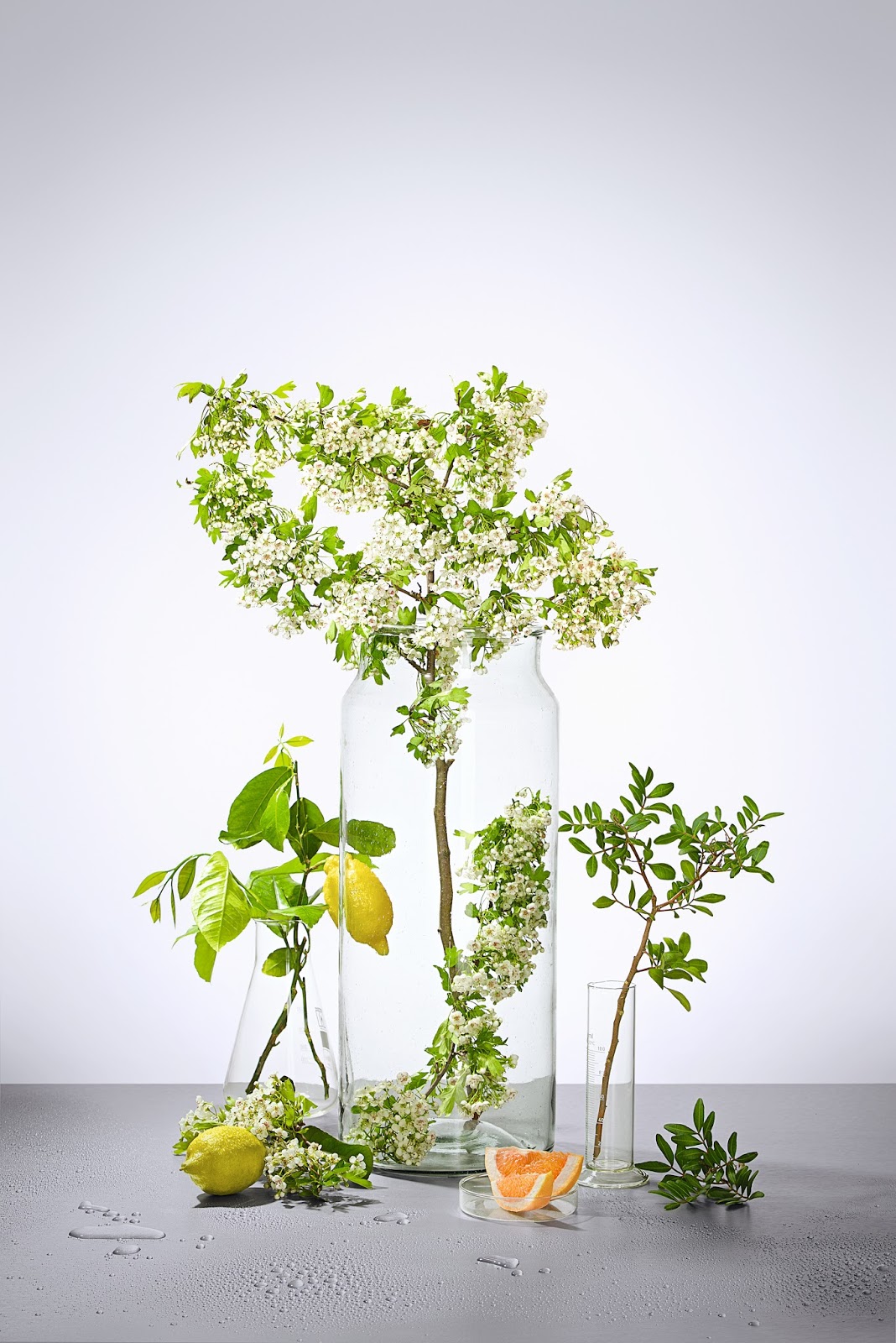 Sondheim Preview Photos From The Exhibit Of Finalists At The Bma