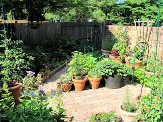 Grow It Eat It: Pat's 792-square foot garden