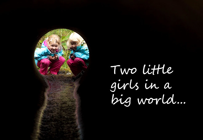 Two little girls in a big world
