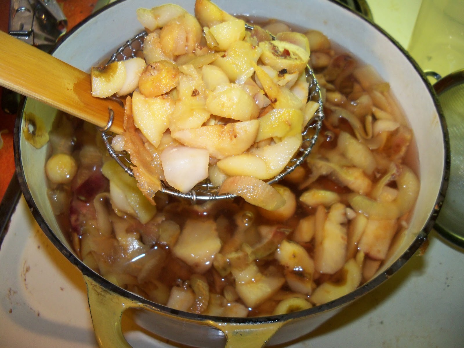 Lunches Fit For a Kid Recipe Apple Peel (and Core) Jelly