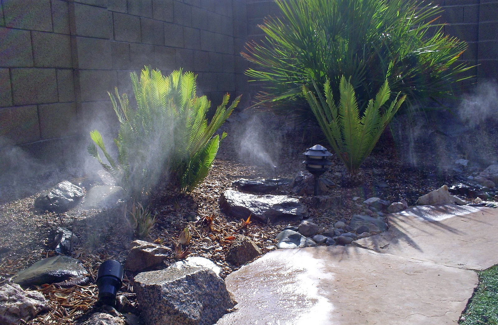 Brad's Tropical Paradise Garden misting system in the desert
