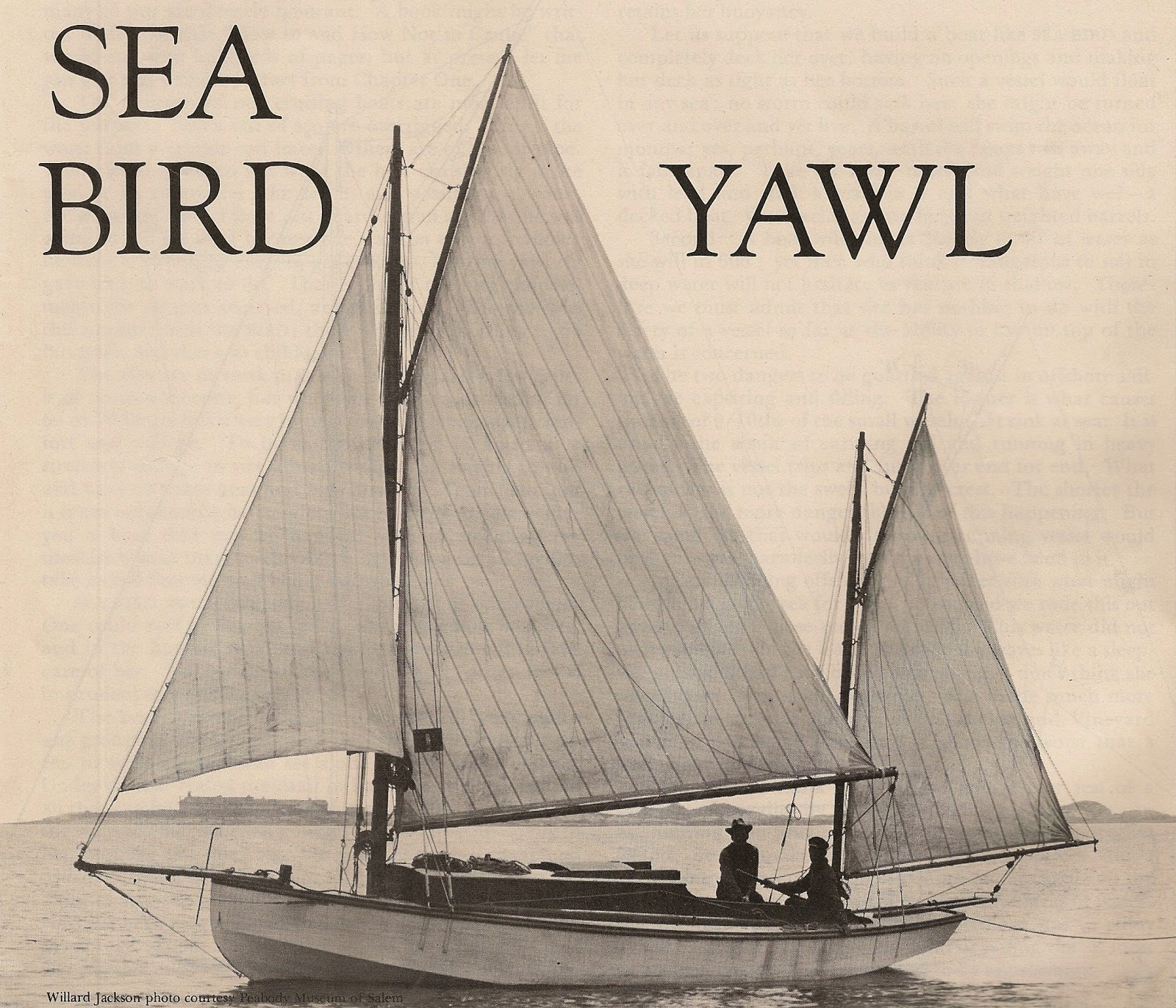 Saltwater People Log NORTH'S NORTH STAR