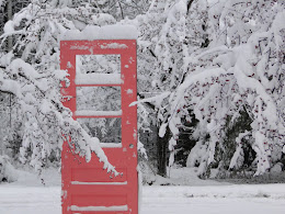 Backdrops for Winter Weddings