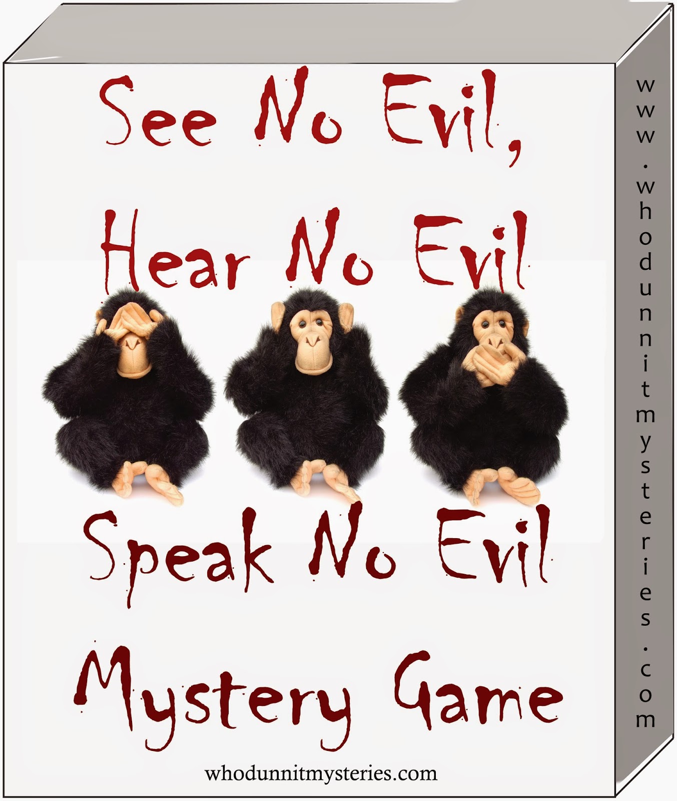 See No Evil disability awareness mystery game
