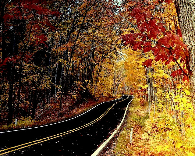 Autumn-pictures-+Wallpaper-Photos-gallery-2011-025