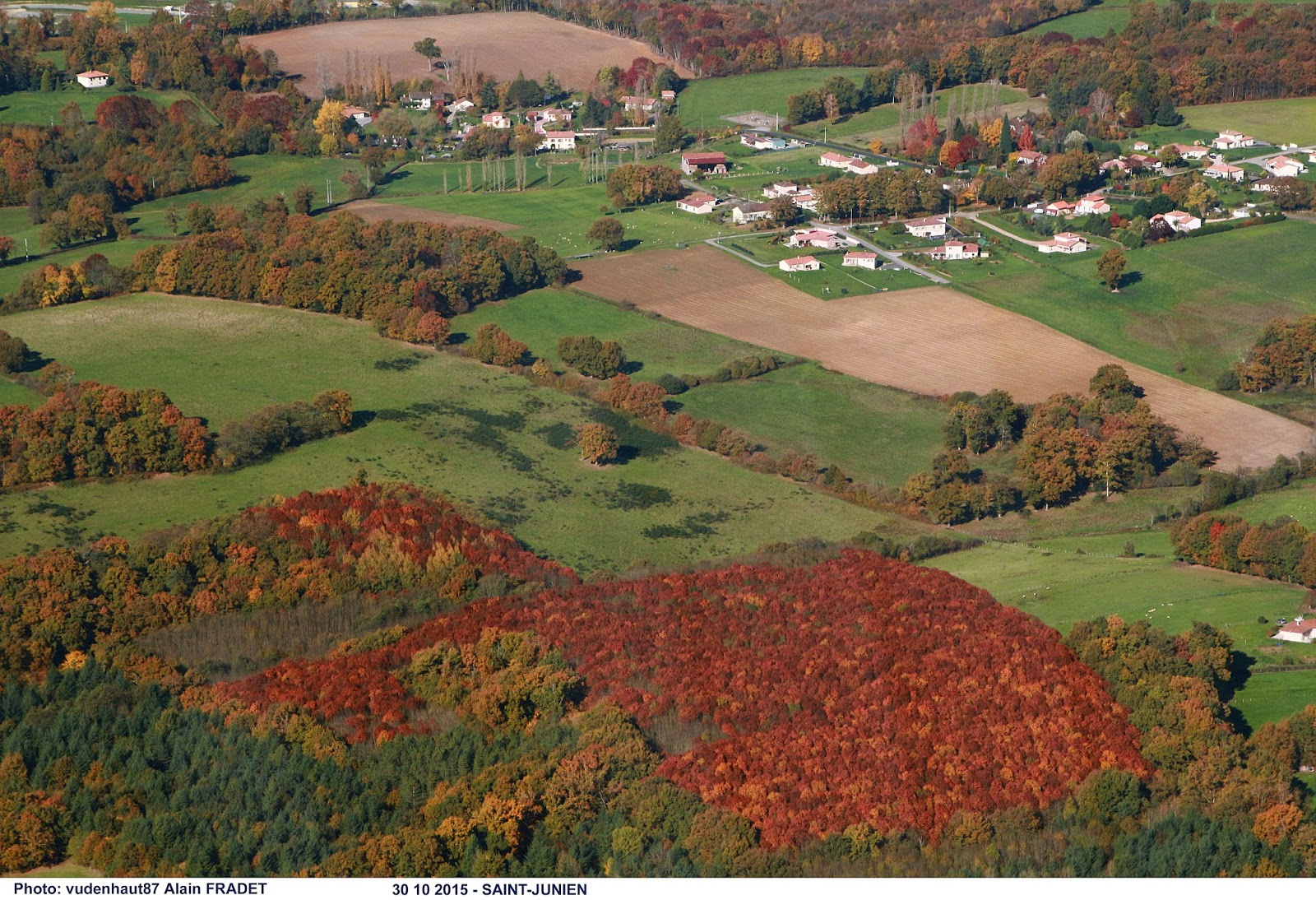 vudenhaut87 par Alain Fradet SAINTJUNIEN