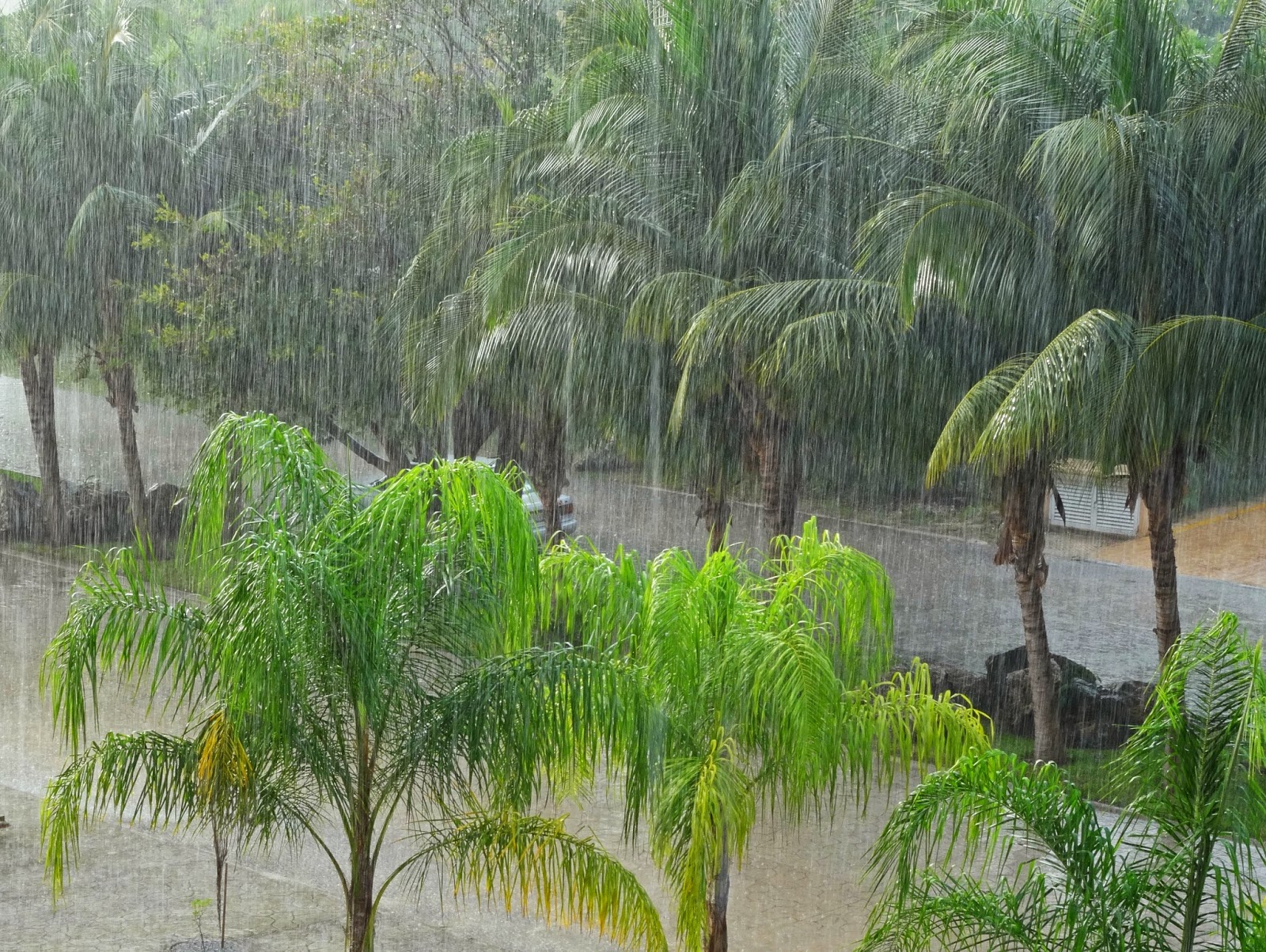 Joe's Retirement Blog Another Day of Tropical Weather, Puerto Aventuras, Quintana Roo, Riviera