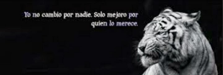 Imagenes de portadas para el facebook para descargar gratis Imagenes de portadas para el facebook para descargar gratis