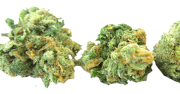 cbd oil sold in anchorage alaska