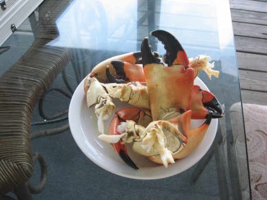 Saltwater Fishing Tips for the South: Stone Crabs: Catch Your Own!
