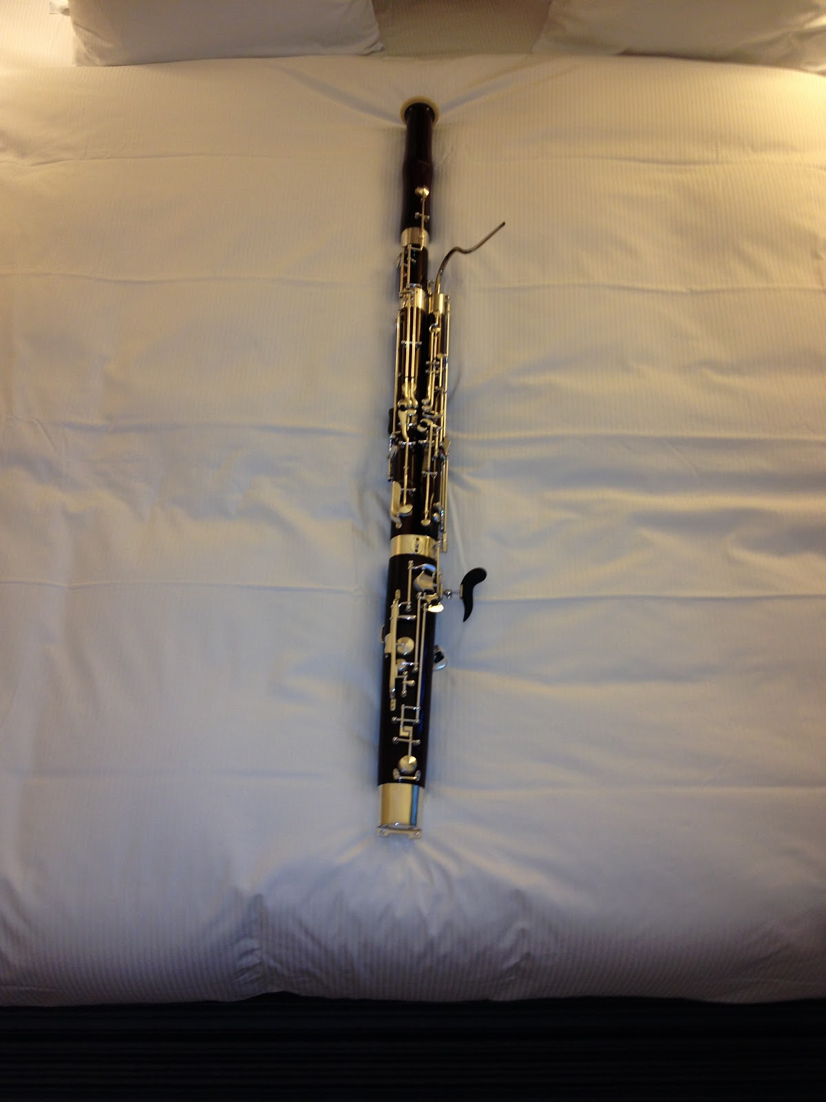 music mattersbassoon My Leitzinger Bassoon Adventure