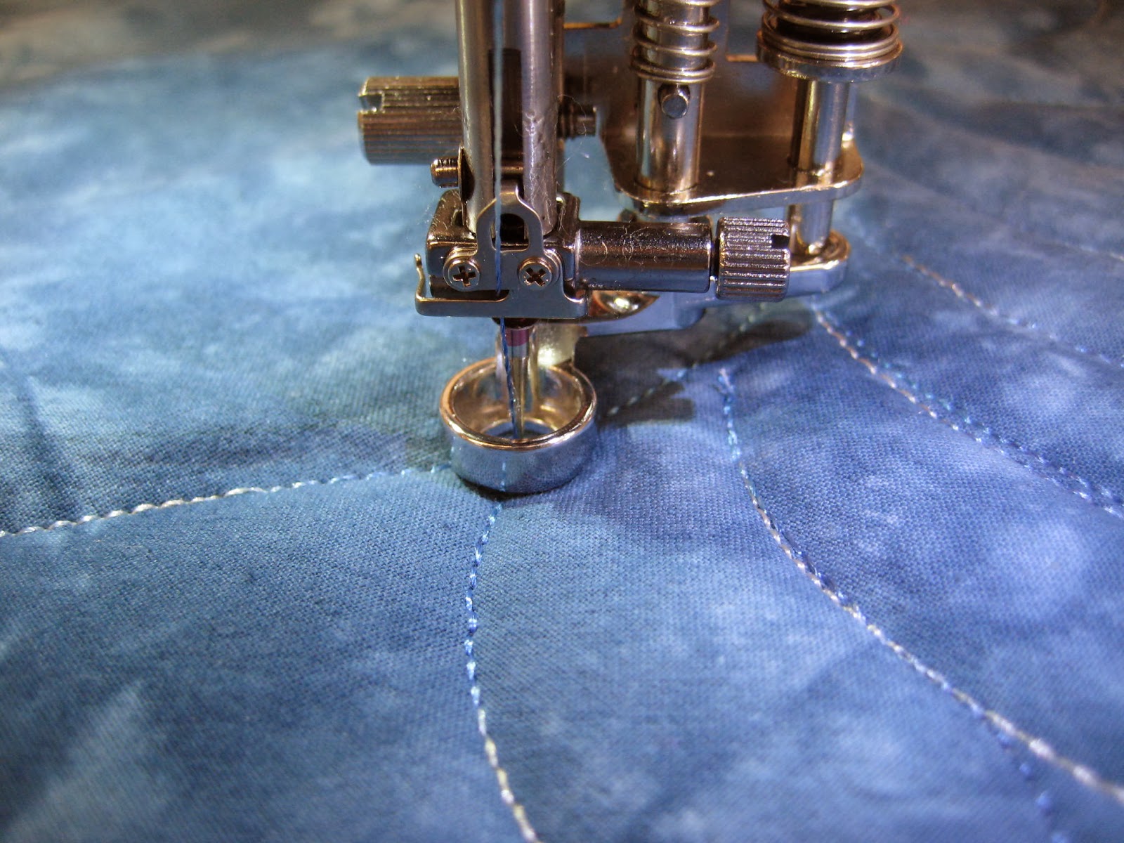 Amy's Free Motion Quilting Adventures Busy Quilty Week