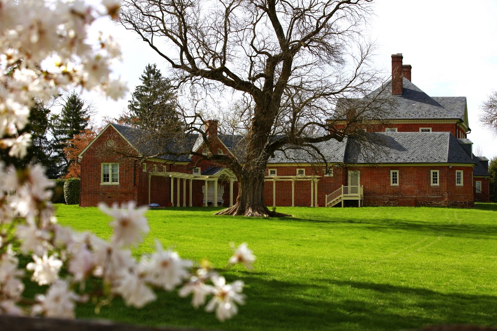 Autumn Walk Emerson Montpelier Mansion (Laurel, MD) Photo Album