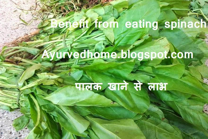Spinach And Its Use Benefits  पालक खाने से लाभ   Palak and Its Use recipes