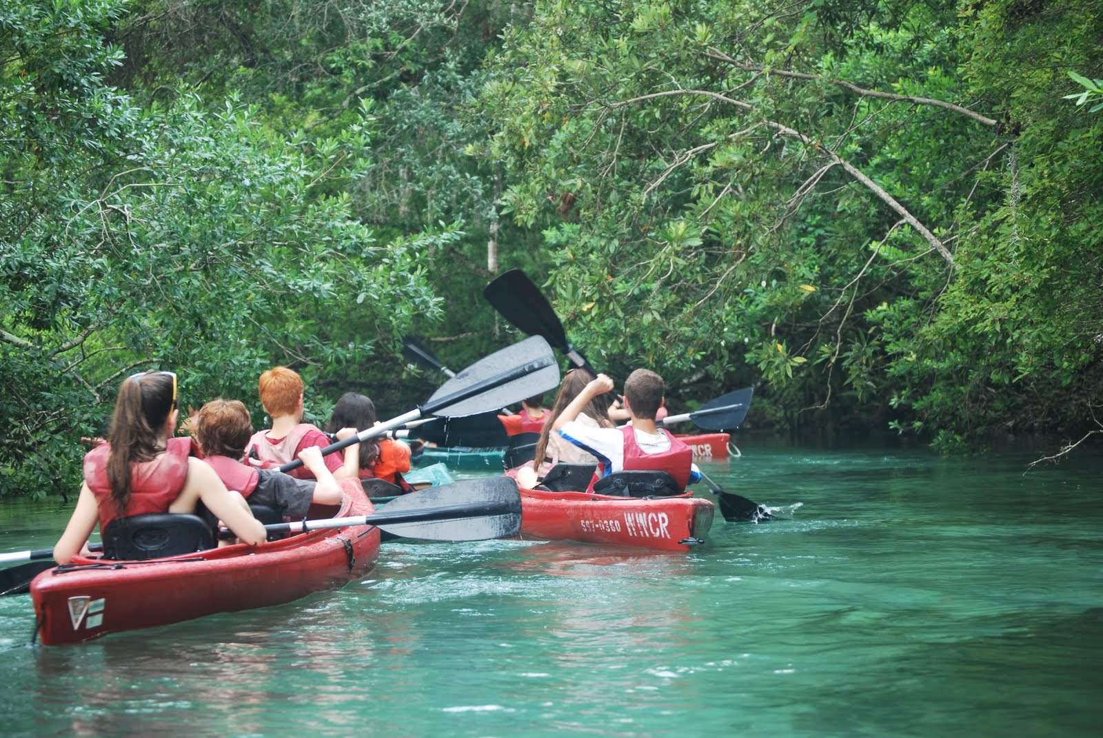 Kayaking Kayaking Weeki Wachee to Rogers Park 8/29/11