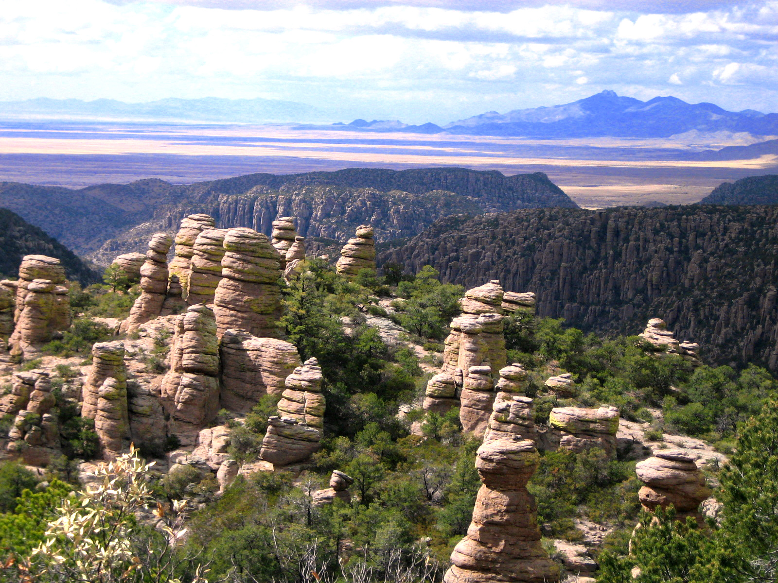 Finding Arizona Sky Islands of Arizona