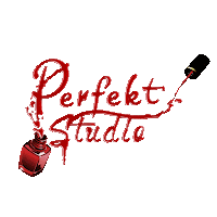 Perfekt Studio  ul. Piotra Skargi 118 a  41-706 Ruda Śląska  TEL. 516 211 420