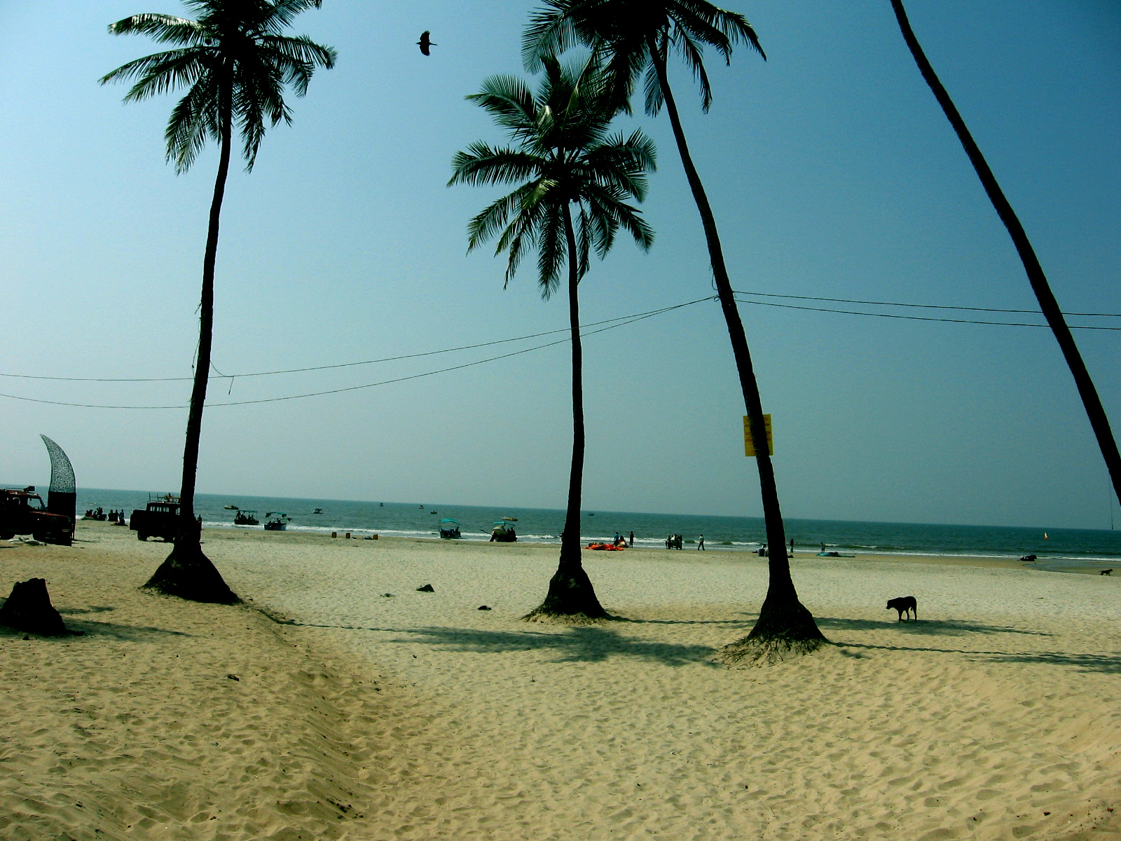 ebharat darshan Colva Beach,Goa