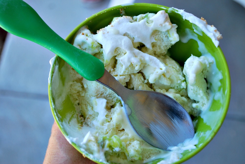 Larissa Another Day FROYO week Key Lime Pie Frozen Yogurt