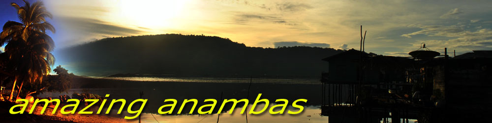 Amazing Anambas
