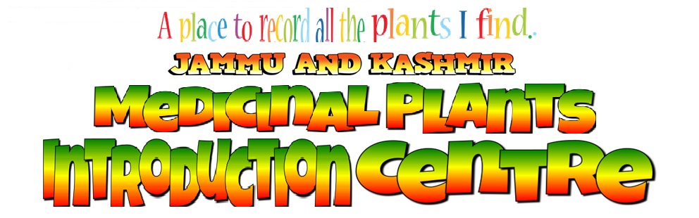 Jammu and Kashmir Medicinal Plants Introduction Centre