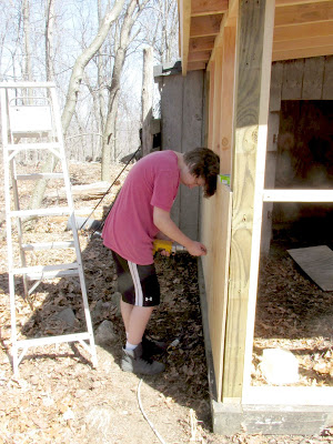 Building a Chicken Coop