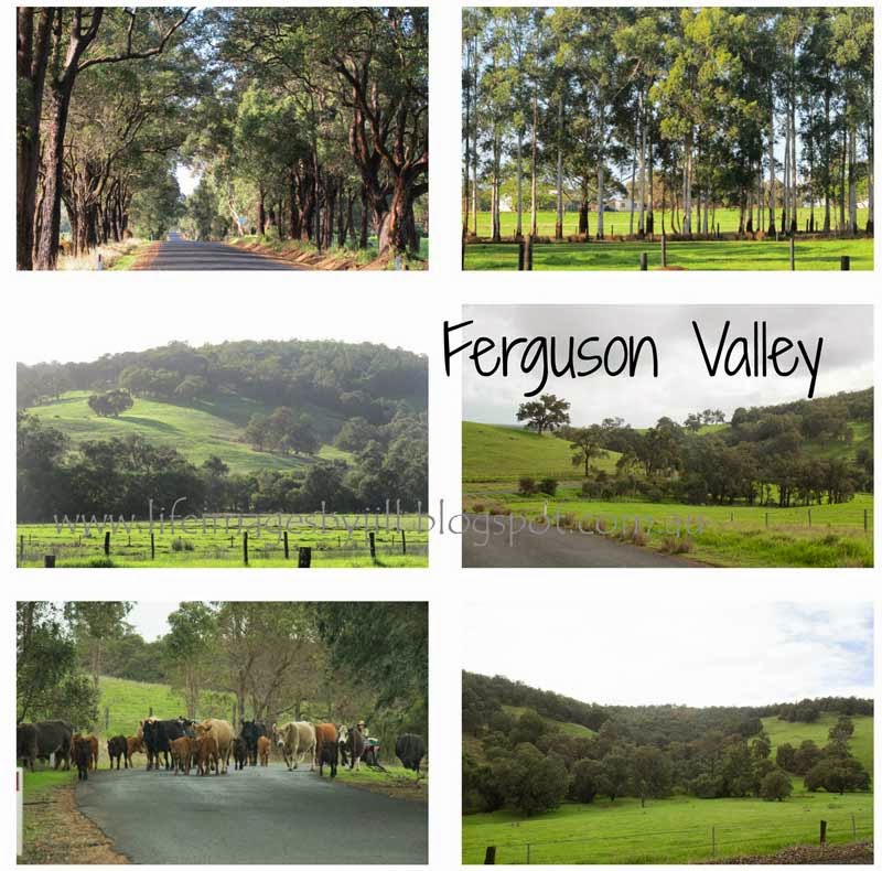 Life Images by Jill Photographing Food in the Ferguson Valley, Western Australia