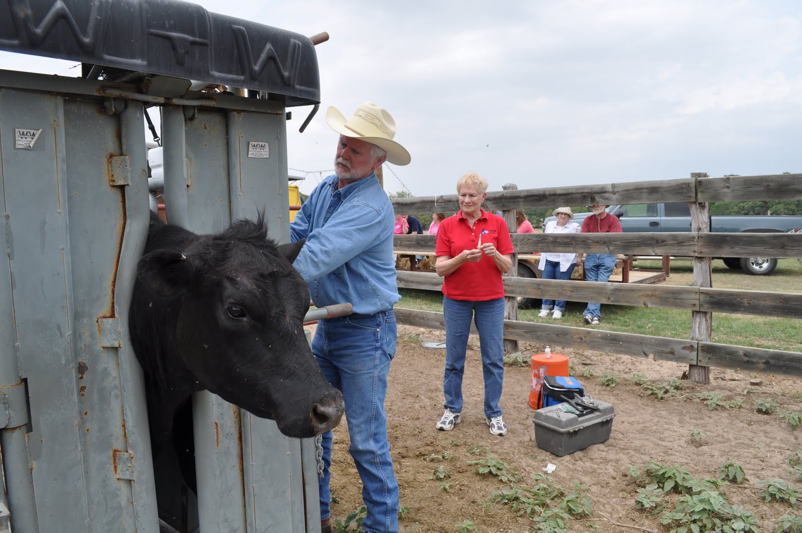 Down Home Ranch Blog Cattle RoundUp