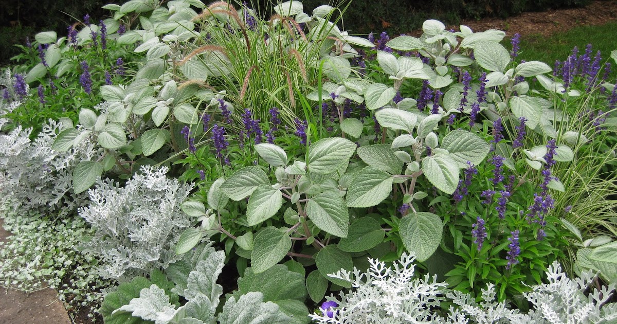 Rotary Botanical Gardens - Hort Blog: The Moonlit Garden